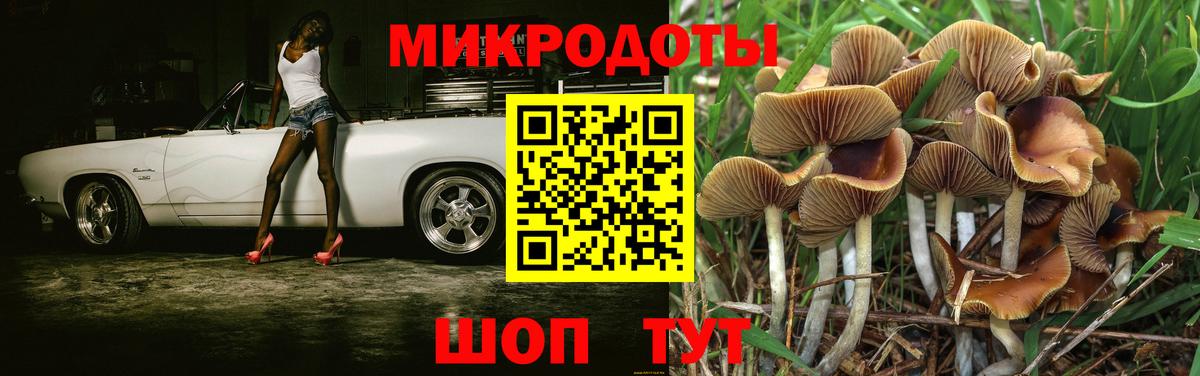 Галлюциногенные грибы мухоморы Котлас